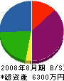 Ｐ・Ｃ・Ｇプランテック 貸借対照表 2008年8月期
