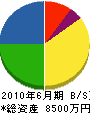 北内組 貸借対照表 2010年6月期