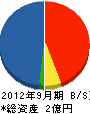 彩電社 貸借対照表 2012年9月期