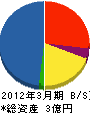 沖縄東芝エレベータ 貸借対照表 2012年3月期