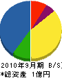 湘南興業 貸借対照表 2010年9月期