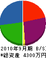 佐藤塗装店 貸借対照表 2010年9月期