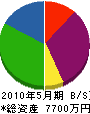 福井建設 貸借対照表 2010年5月期