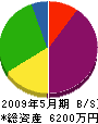 大倉組 貸借対照表 2009年5月期