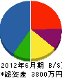平塚建築 貸借対照表 2012年6月期