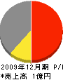 山川工務店 損益計算書 2009年12月期