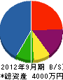 寺井電気 貸借対照表 2012年9月期