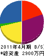 小野寺電気 貸借対照表 2011年4月期