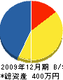 片山組 貸借対照表 2009年12月期