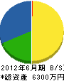寿賀崎建設 貸借対照表 2012年6月期