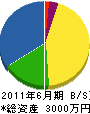 松本配管設備工業所 貸借対照表 2011年6月期