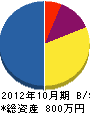 石井住設 貸借対照表 2012年10月期