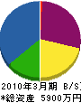 高江組 貸借対照表 2010年3月期