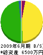 上野電気商会 貸借対照表 2009年6月期