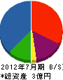 田中 貸借対照表 2012年7月期