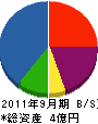 山二総合開発 貸借対照表 2011年9月期