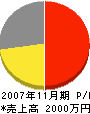 柄澤工業 損益計算書 2007年11月期