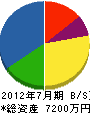 石田造園土木 貸借対照表 2012年7月期