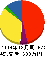 清田風呂店 貸借対照表 2009年12月期