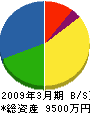 飯島電気工業 貸借対照表 2009年3月期