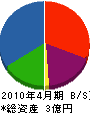 澁谷興業 貸借対照表 2010年4月期