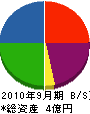 平澤電気工事 貸借対照表 2010年9月期