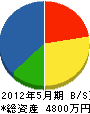 日藤商事 貸借対照表 2012年5月期