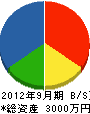 小坂板金工作所 貸借対照表 2012年9月期