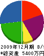 曽我部産業 貸借対照表 2009年12月期
