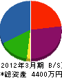 瀬田電機工業 貸借対照表 2012年3月期