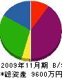 笠原産業 貸借対照表 2009年11月期