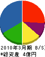 北海道タツヲ電気 貸借対照表 2010年3月期