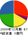 建窓センターキヨナガ 貸借対照表 2009年12月期