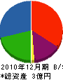 野中木工所 貸借対照表 2010年12月期