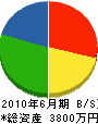 埼玉情報 貸借対照表 2010年6月期