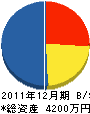 アドバンス・ナカシマ 貸借対照表 2011年12月期