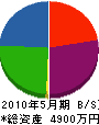 丸昭土木 貸借対照表 2010年5月期