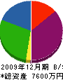 サンホーム 貸借対照表 2009年12月期