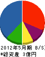 神田エンジニアリング 貸借対照表 2012年5月期
