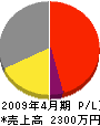 橋本水道 損益計算書 2009年4月期