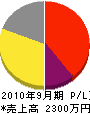 協和電気 損益計算書 2010年9月期