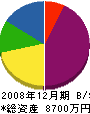 コスモ・エンジニア 貸借対照表 2008年12月期