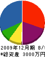 東技建 貸借対照表 2009年12月期