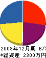 飯島電機 貸借対照表 2009年12月期