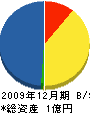 中嶋組 貸借対照表 2009年12月期