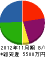 山善研装 貸借対照表 2012年11月期