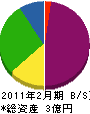 ホシヤマ 貸借対照表 2011年2月期