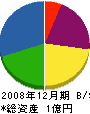 泰豊産業 貸借対照表 2008年12月期