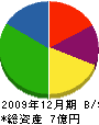 芳賀工務店 貸借対照表 2009年12月期
