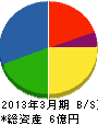 三洋静岡設備 貸借対照表 2013年3月期